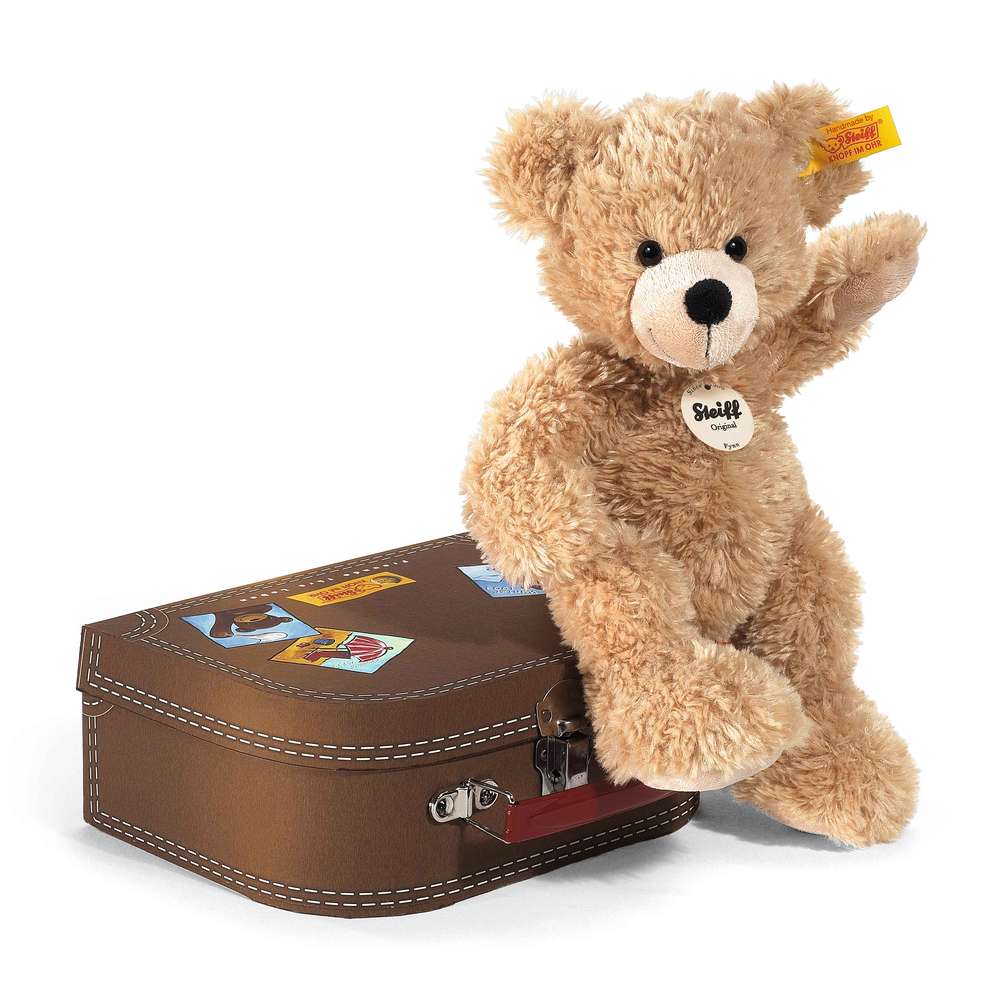 Teddybär Fynn im Koffer